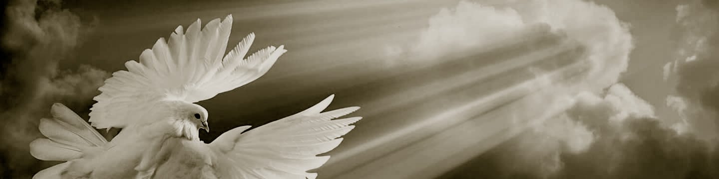 El Gran Engaño - Conferencias - 10 La Paz de Dios