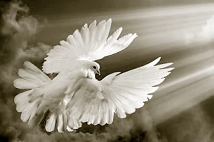 El Gran Engaño - Conferencias - B - 10 La Paz de Dios