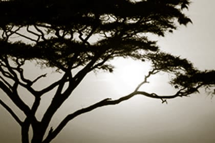 El Gran Engaño - Conferencias - B - 26a Simbolismos en las costumbres de Israel