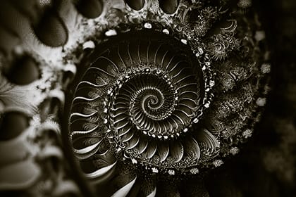 El Gran Engaño - Conferencias - B - 21j El rincón del diseño inteligente